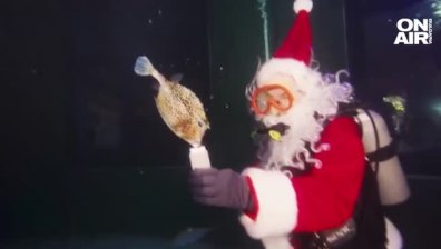 Дядо Коледа се гмурна в аквариум, за да зарадва с подаръци обитателите му