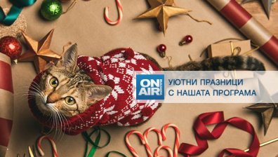 Българска музика и европейско кино завладяват ефира на Bulgaria ON AIR в празничните дни 