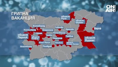 Грипната вълна се разраства бързо, затварят много училища в страната (Обновена)