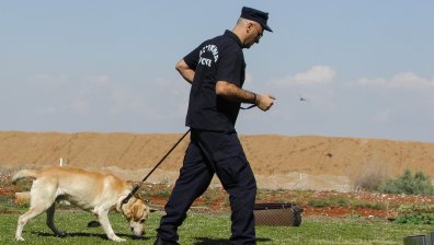 В Австрия обучават кучета да надушват коронавируса