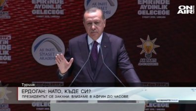 Ердоган обвини НАТО в слабост, страх и липса на подкрепа