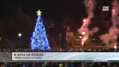 Грейна коледната елха в София