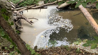 В красивите Родопи: Реката край с. Борино е като отходен канал