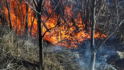 Висок риск от пожари в няколко области у нас
