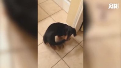 Идеалният затворен кръг