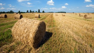 Бългapcĸaтa бaнĸa зa paзвитиe предлага лизинг за земеделска земя
