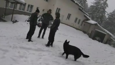 Случаят "Петрохан" не е приключен, много въпроси търсят своите отговори