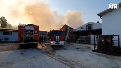 Пожар горя в складово помещение в Пловдив (Обновена, видео)