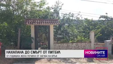 Късна емисия