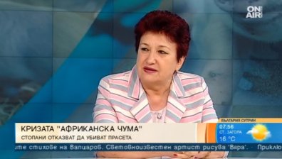 Какви мерки трябва да предприеме държавата срещу африканската чума?