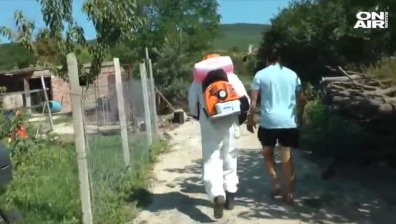 БАБХ започна проверки в Бургаско заради умъртвяването на прасета