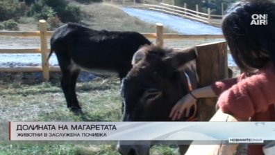 Откриха приют за стари магарета в село Баничан