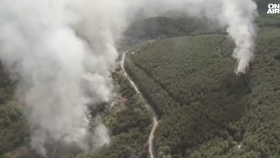 Пожарът край село Горнослав е потушен след нощна битка с огъня