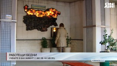 Работещи бедни: Учени в БАН живеят с по 385 лева
