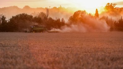Най-високите цени за наем на земеделска земя в ЕС са в Италия, къде се нарежда България?