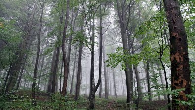 Преваляванията не са приключили - очаква ни ветровита събота
