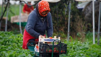 Сезонни работници от България ще могат да летят до Германия