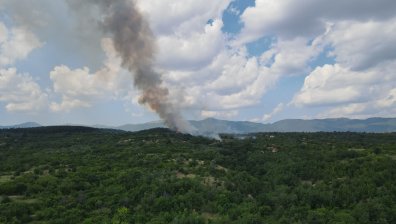 Пожар гори край вилната зона в Казанлък