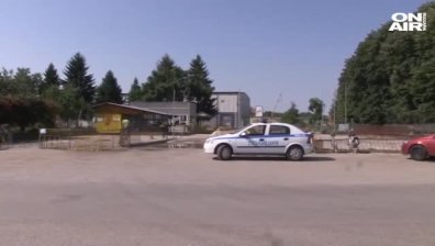 Ново огнище на африканска чума, пак във индустриална ферма