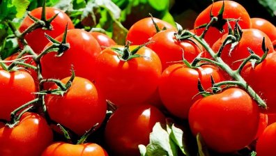 Площите за биоземеделие в рамките на ЕС са се увеличили драстично