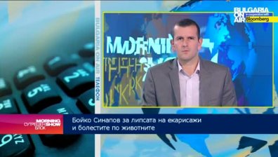 Екарисажът в Шумен спира работа от днес