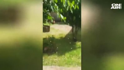 Започнаха огледите на щетите след градушката във Велико Търново