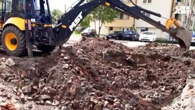 Столичани превърнаха незаконен паркинг в зеленчукова градина
