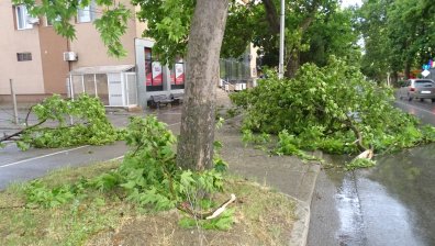 Равносметката след бурята: Наводнени къщи, счупени коли, прекършени дървета