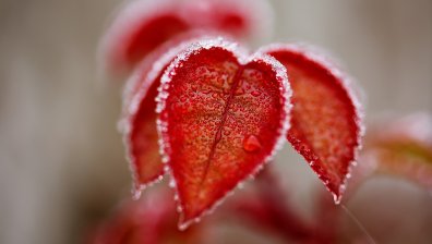 Опасно време! Силен вятър, бързо застудява, трупа снежна покривка