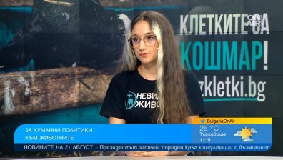 Кампания цели да прекрати жестока практика при новородените теленца