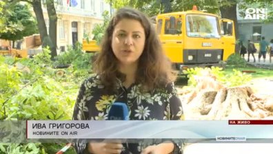 Обедна емисия