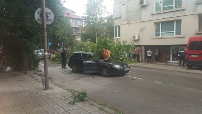 Буря в Монтана: Дърво падна върху движещ се автомобил (+ВИДЕО)