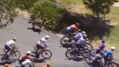 Кенгуру изблъска лидера в "Tour Down Under" в Австралия (+ВИДЕО)