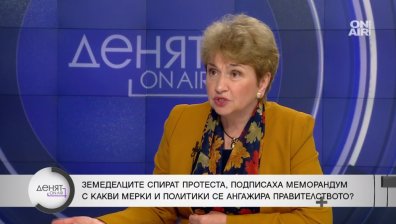 Плугчиева: Купуваме плод и зеленчук от Чили и САЩ, заляха ни със сухо мляко от Украйна