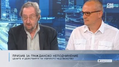 Протестиращите - все по-диференцирани, започват да мислят след оставката