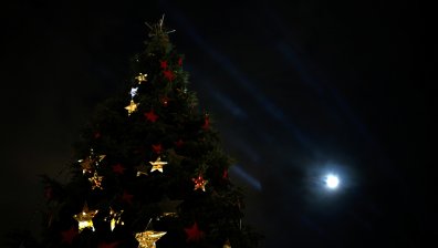 17-метрова елха донесе коледния дух в Атина (Видео)