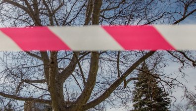 Мъж откри брат си пребит до смърт в двора на къща в Перник