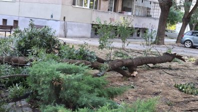Военнослужещи разчистват в Пловдив след мощната буря