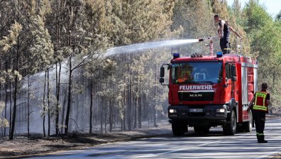 Горски пожар бушува край бивш военен полигон в Югоизточна Германия (+СНИМКИ)