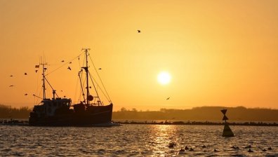 Друг кораб е задържан за нелегална търговия на нефт със Северна Корея 