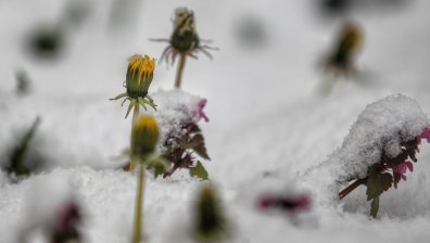 Истинската пролет ще дойде чак след 25 март