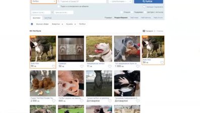 Защо се стигна до инцидента, в който куче уби стопанина си?