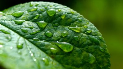 Изпращаме работната седмица с високи температури и дъжд в някои райони