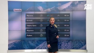 Сутрешна прогноза