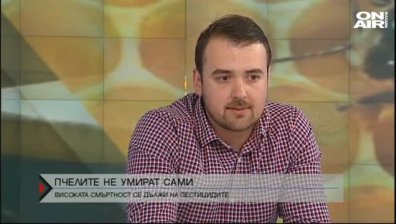 Над 400 милиона пчели в България са убити от пестициди