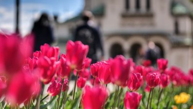 Времето днес: Слънчево начало на седмицата, дъждовете спират