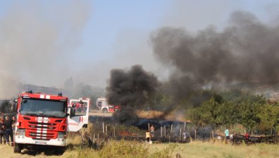 Пожар край Тишаново и Илия обхвана 50 дка горска територия