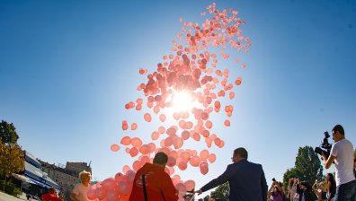 Отбелязваме Националния розов ден