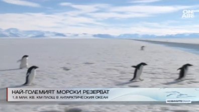 24 държави и ЕС създават най-големия морски резерват на планетата