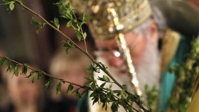 Цветница е! Ето какво лекува осветената върбова клонка